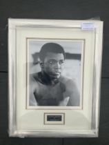 Muhammad Ali Signed Framed Boxing Photo: Nice disp