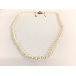 A string of cultured pearls with a 9ct gold clasp