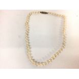 A string of Mikimoto cultured pearls with gold cla