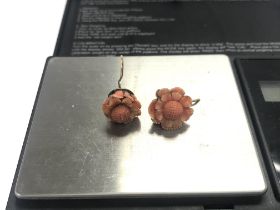 A pair of gold backed coral earrings.