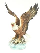 Capodimonte Aguila Bellini Bald Eagle porcelain fi