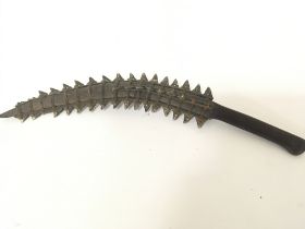 A rare 19th century Kiribati shark tooth knife wit