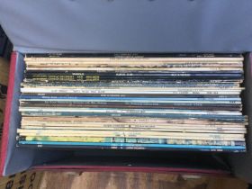 A record case of LPs by various artists including