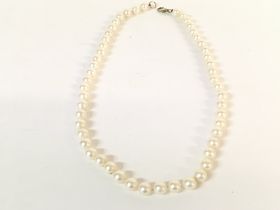A Pearl necklace. 45cm long. Postage A