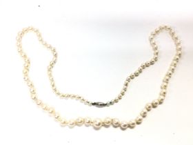 Cultured pearl necklace with barrel clasp (platinu