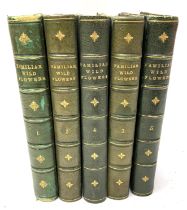 Familiar Wild Flowers Fifth Series, with coloured plates, F. Edward Hulme, Published by Cassell