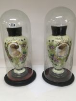 A pair of Victorian glass vases decorated with cla