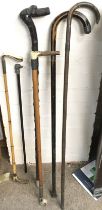 A Collection of Walking sticks