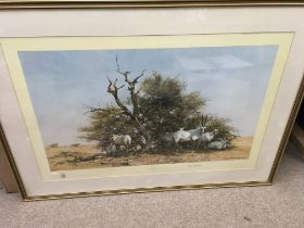 A framed and signed David Shepard print. Approx 10