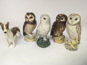 Four Royal Doulton porcelain owl whisky decanters