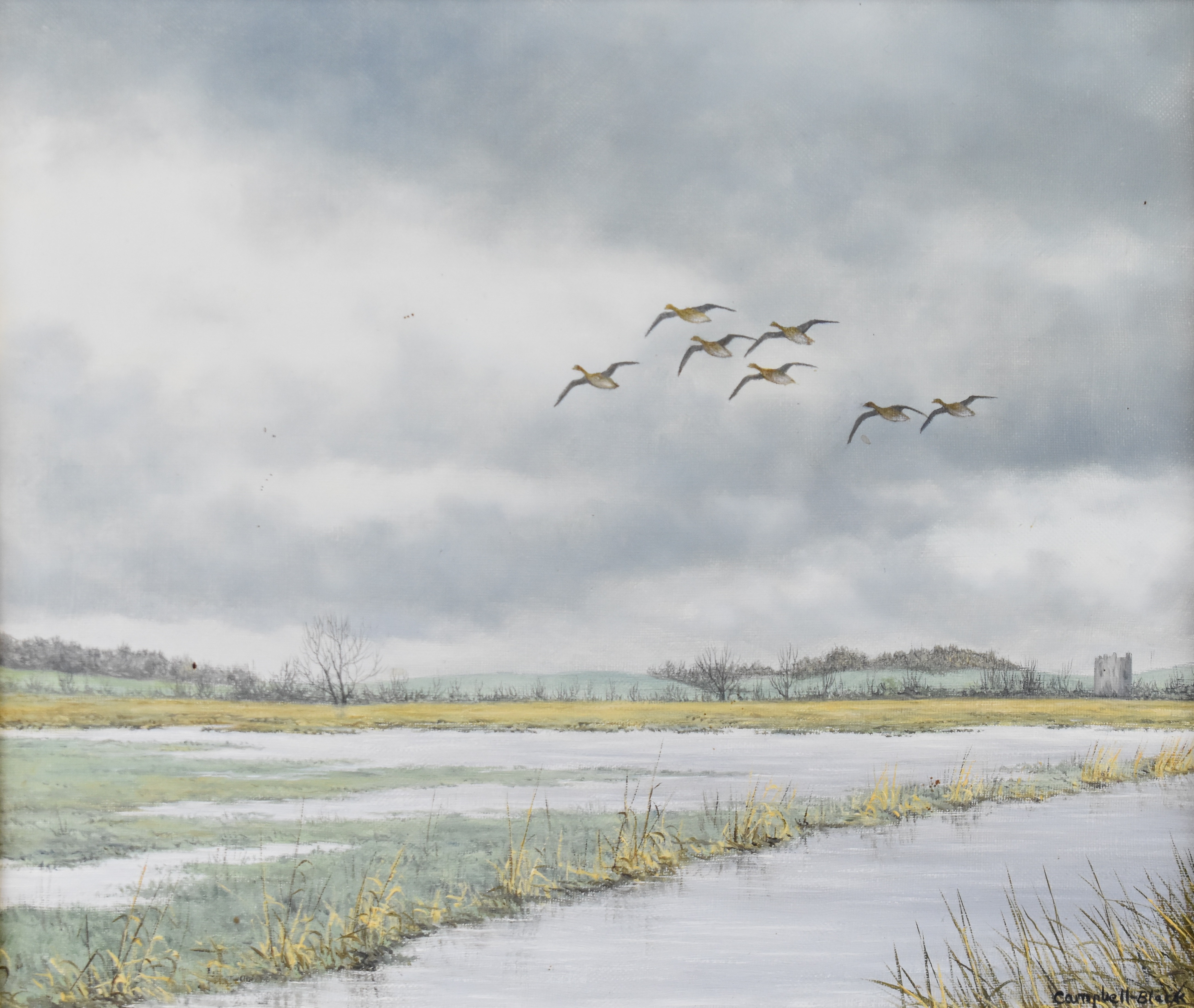 Geoffrey Campbell Black (born 1925) oil on canvas birds in flight above a marshy landscape, signed