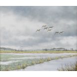 Geoffrey Campbell Black (born 1925) oil on canvas birds in flight above a marshy landscape, signed