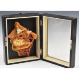 German anatomical model of a face with eye, jaw, teeth etc, in glazed ebonised case, 25.5 x 19 x