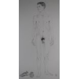 Christopher 'Kit' Williams (born 1946) pencil drawing of a male nude with his shoes beside him on