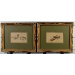 F E Valter pair of Victorian watercolours of sheep and cattle, both signed to lower edge, one