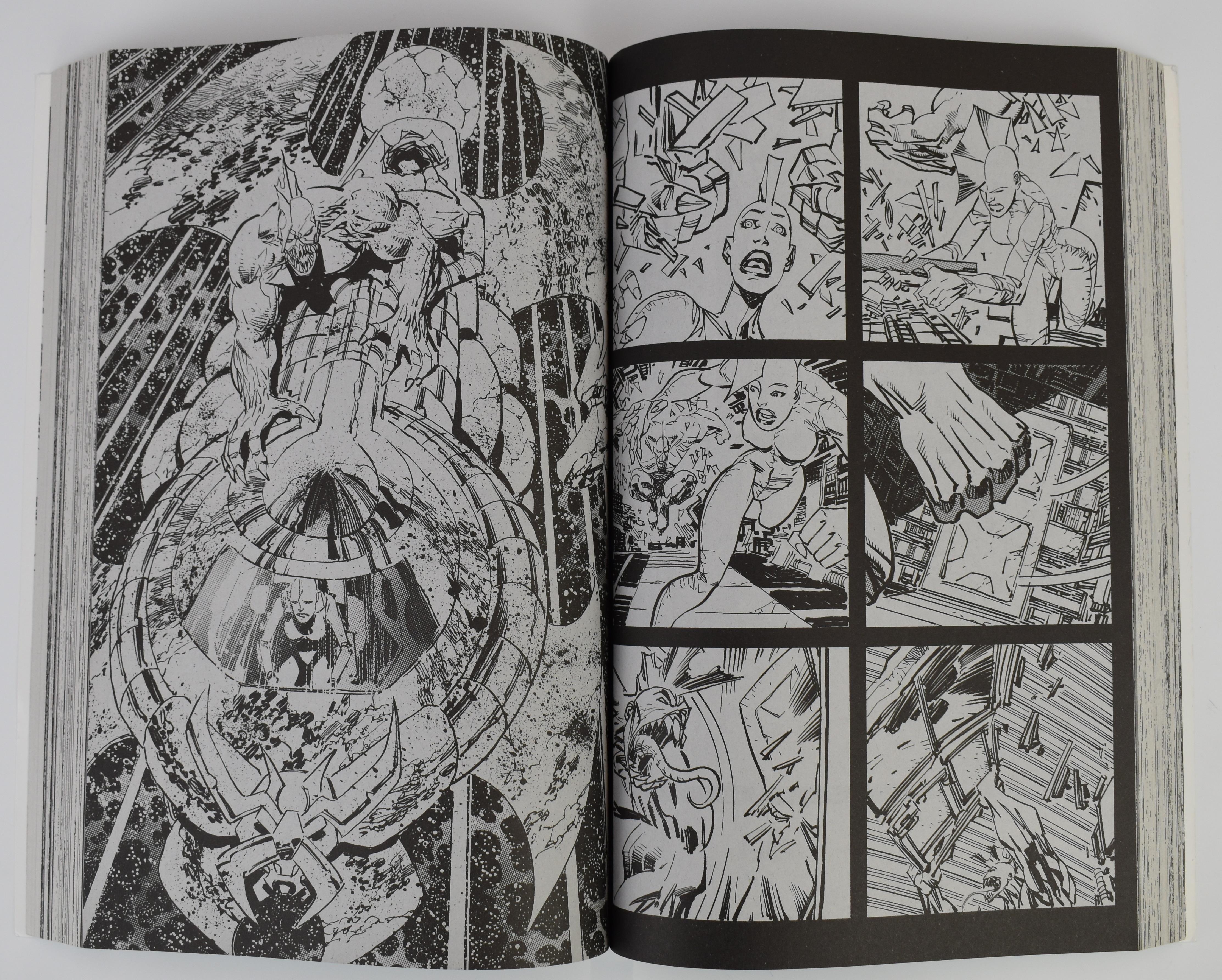 Savage Dragon Archives Volumes 1-9 by Erik Larsen, Image Comics. - Image 2 of 4