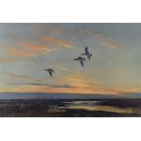 Peter Scott (1909-1989) signed print of ducks in flight, 38 x 55cm, in limed wood frame