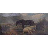 19thC oil on canvas of standing and recumbent horses, signed indistinctly Chartworth or
