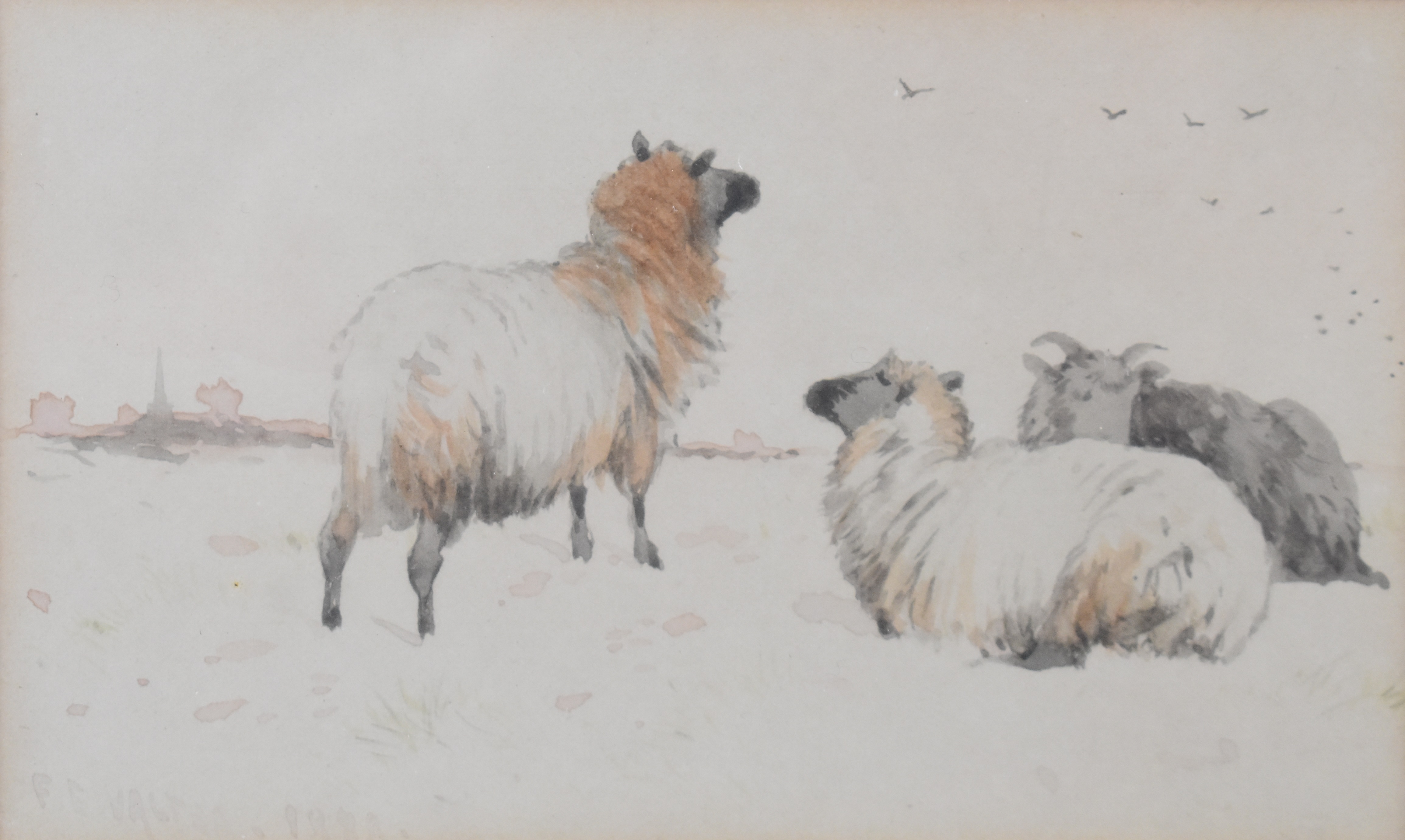 F E Valter pair of Victorian watercolours of sheep and cattle, both signed to lower edge, one - Image 3 of 6