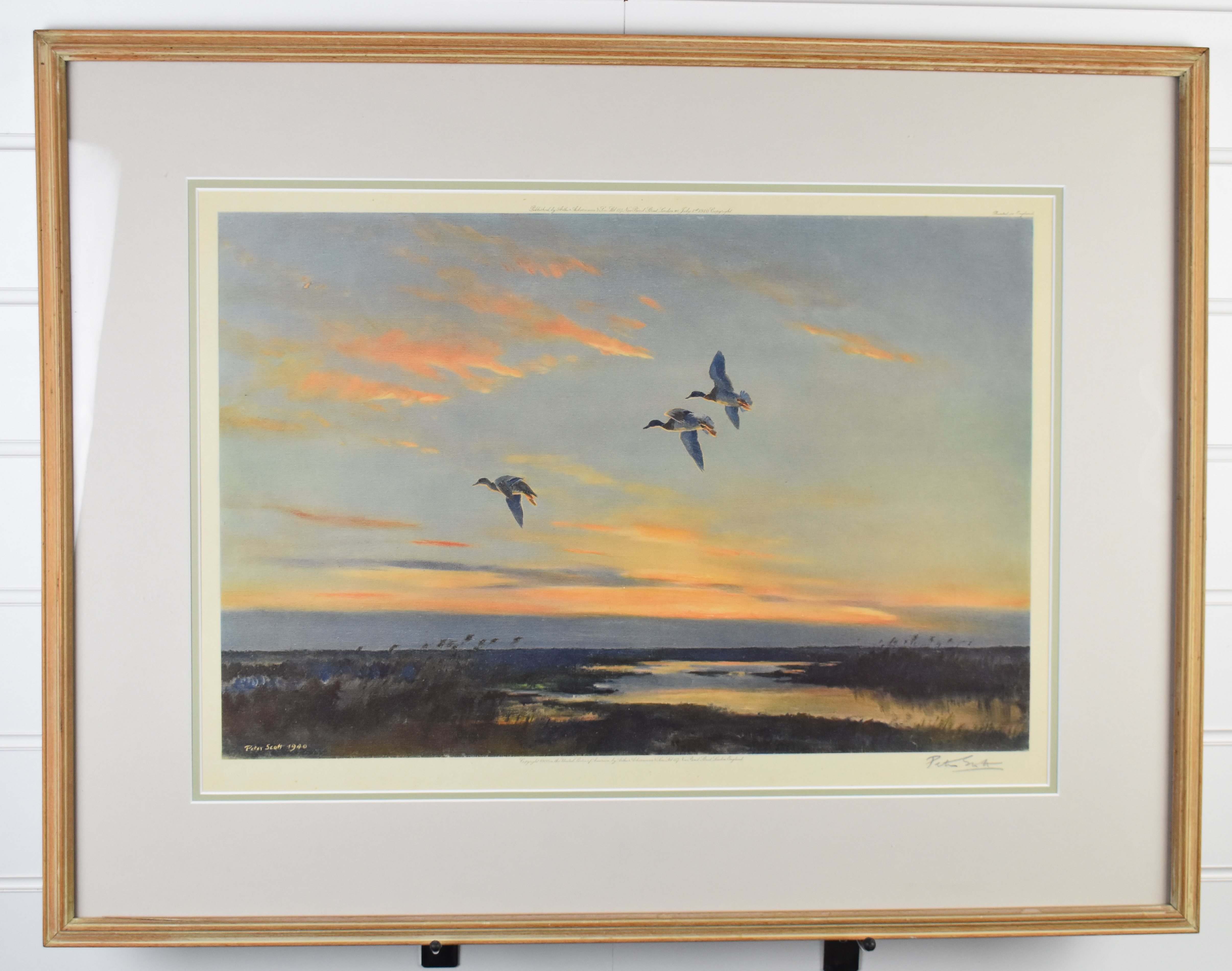 Peter Scott (1909-1989) signed print of ducks in flight, 38 x 55cm, in limed wood frame - Image 2 of 7