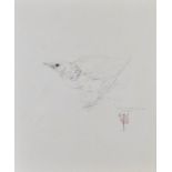 Raymond Harris Ching (born 1939) sketch of a Corncrake bird, monogrammed and dated 1968 lower