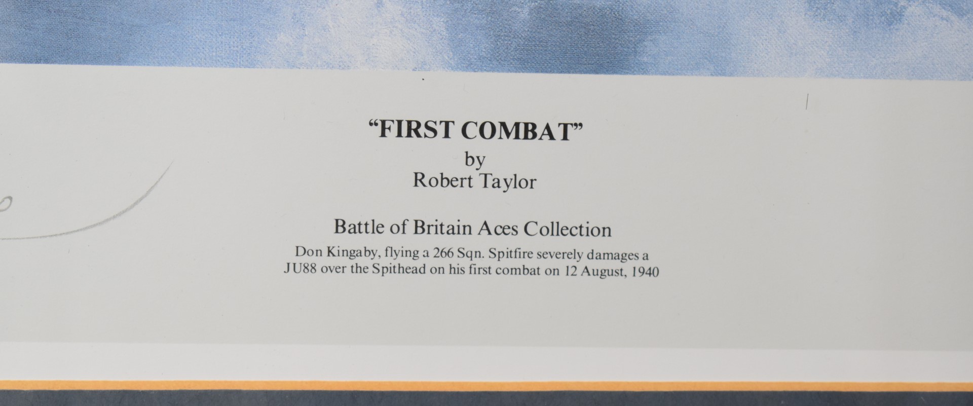 Royal Air Force WW2 Robert Taylor limited edition print number 719/990 'First Combat' from the - Image 5 of 7