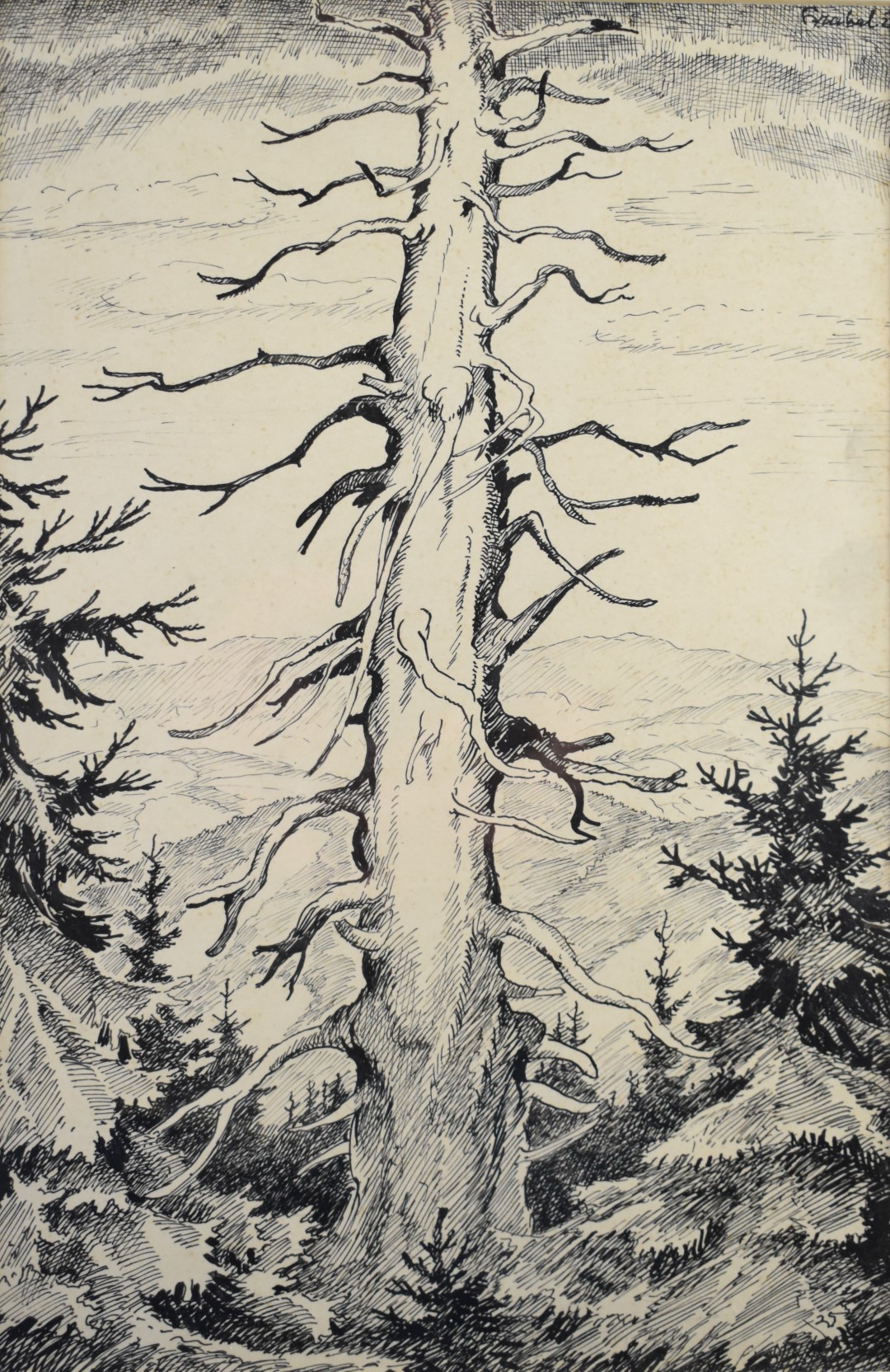 Ernst (Arnost) Hrabal (Czechoslovakian 1886-1969) pair of pen and ink studies of trees, both signed, - Image 3 of 7