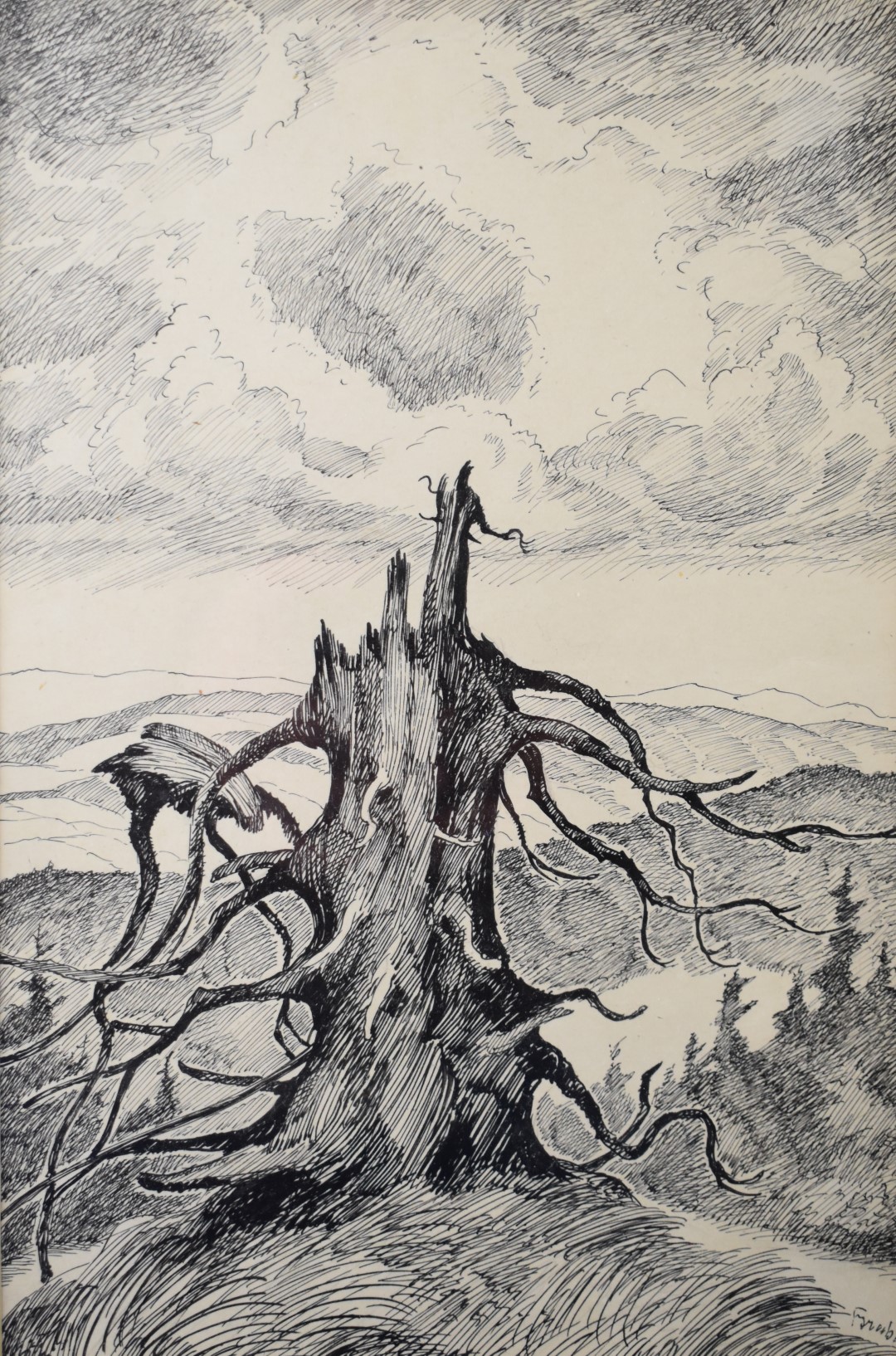 Ernst (Arnost) Hrabal (Czechoslovakian 1886-1969) pair of pen and ink studies of trees, both signed, - Image 2 of 7