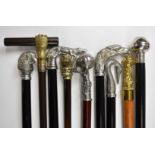 Nine walking sticks / canes including several by Roberto Cavagnini, others with mostly metal bird