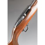 Ruger Model 10/22 .22 semi-automatic rifle with chequered semi-pistol grip, sling, scope rail, sound