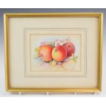 H Ayrton Royal Worcester artist watercolour painted fruit, 16 x 14cm