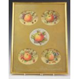 H Ayrton Royal Worcester artist five painted fruit watercolours in one frame, three signed but in