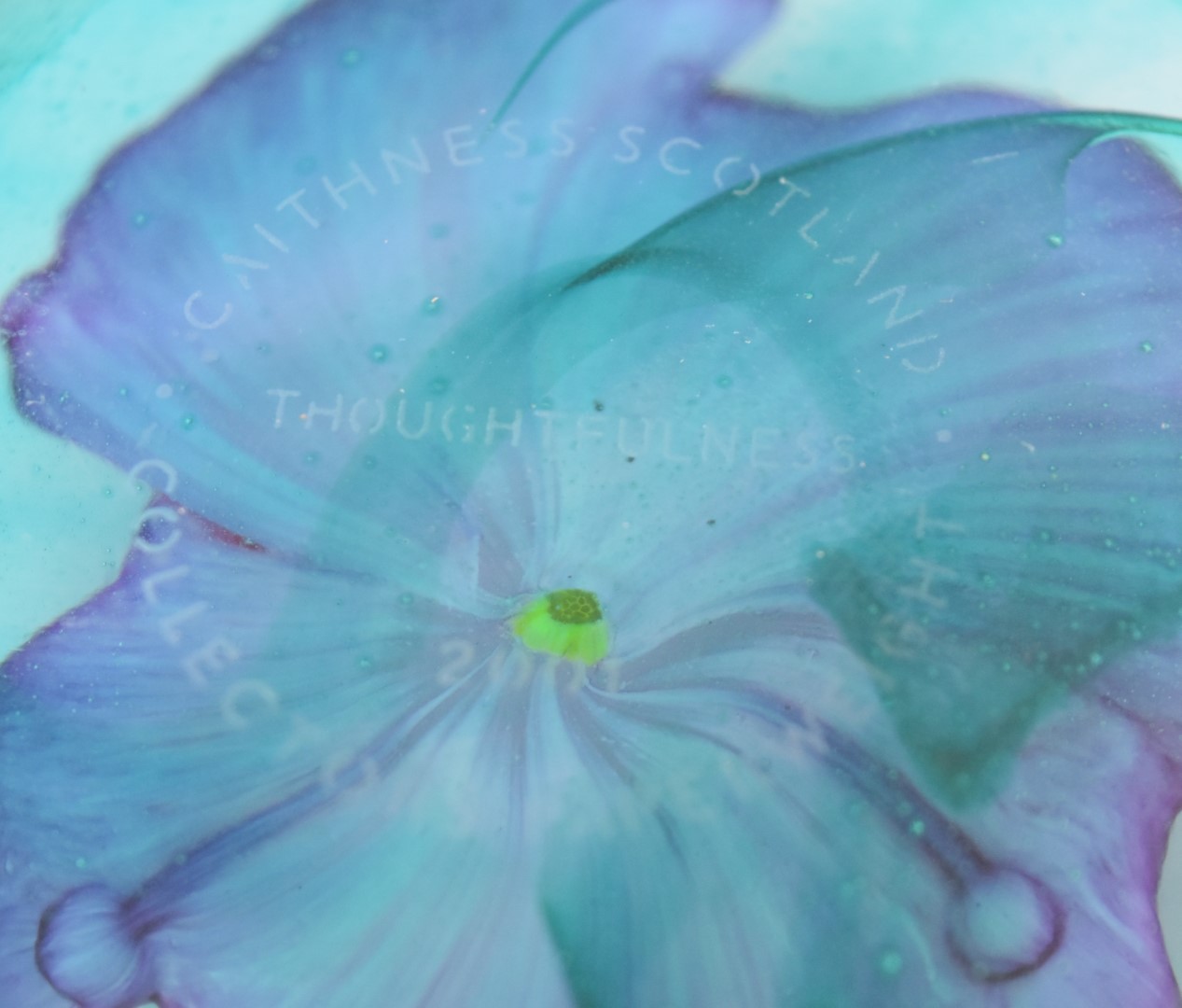 Eight Caithness glass paperweights comprising Butterfly Dream, Highland Spray, Waterlily - Bild 4 aus 4