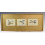 W Powell Royal Worcester artist three watercolours in one frame of ducks in flight, each 8.5 x 12cm