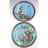 A pair of Chinese cloisonné chargers decorated with birds of prey, diameter 30cm