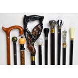 Ten walking sticks / canes including Country Canes, carved, specimen wood, polishes stone knopped