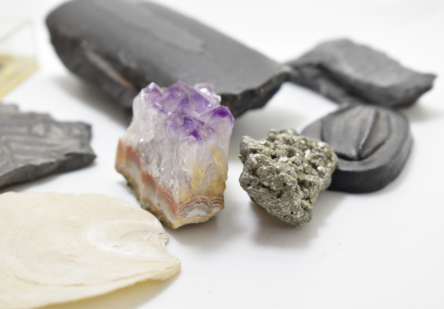 A collection of fossils and mineral specimens including a tooth, leaves and a geode, tallest 14cm - Image 2 of 6