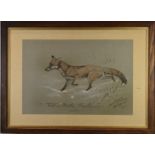 Basil Nightingale (1864-1940) charcoal and pastel humorous hunting interest study of a fox 'Foot and