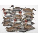 Six Sport Plast and Carry Lite floating duck decoys.