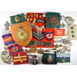 A collection of mainly Rhodesian military badges and insignia including Corps of Engineers, Light