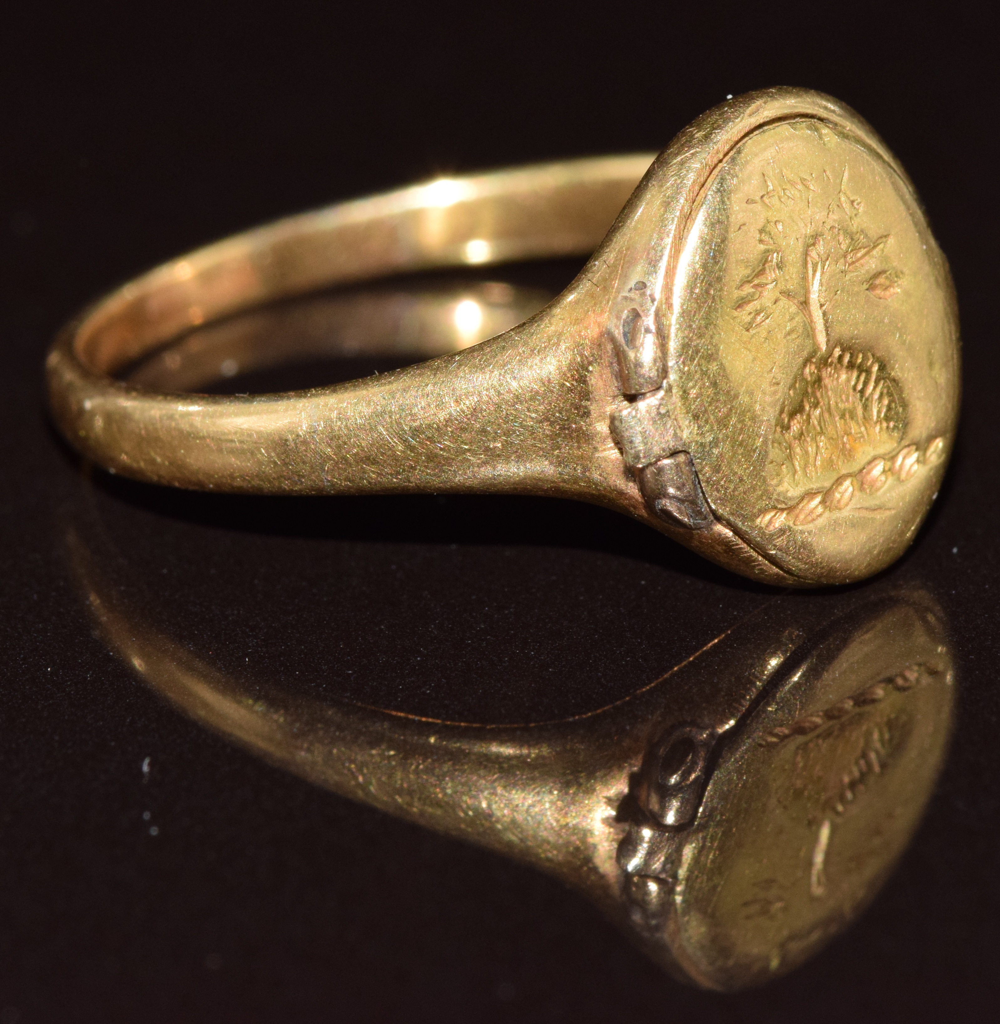 Victorian 18ct gold signet ring with oak tree decoration with locket compartment opening to reveal a - Image 2 of 3