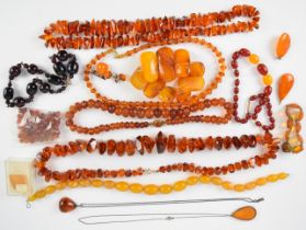 A collection of amber including six necklaces, bracelet, four pendants, brooch, section of amber