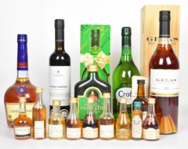 A collection of Cognac, Armagnac, Brandy and Sherry to include Courvoisier, Gelas, Harvey's and