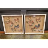 A pair of framed groups of printed cut paper butterflies, 34 x 34cm.