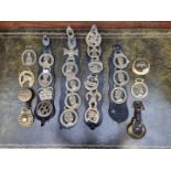 A collection of horse brasses and martingales.