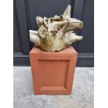 A rootwood tree stump, 42cm wide, on terracotta coloured fibreglass stand.