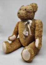 Teddy Bear: a vintage (circa 1950's) large golden mohair straw filled Petz teddy, 28 inches tall,