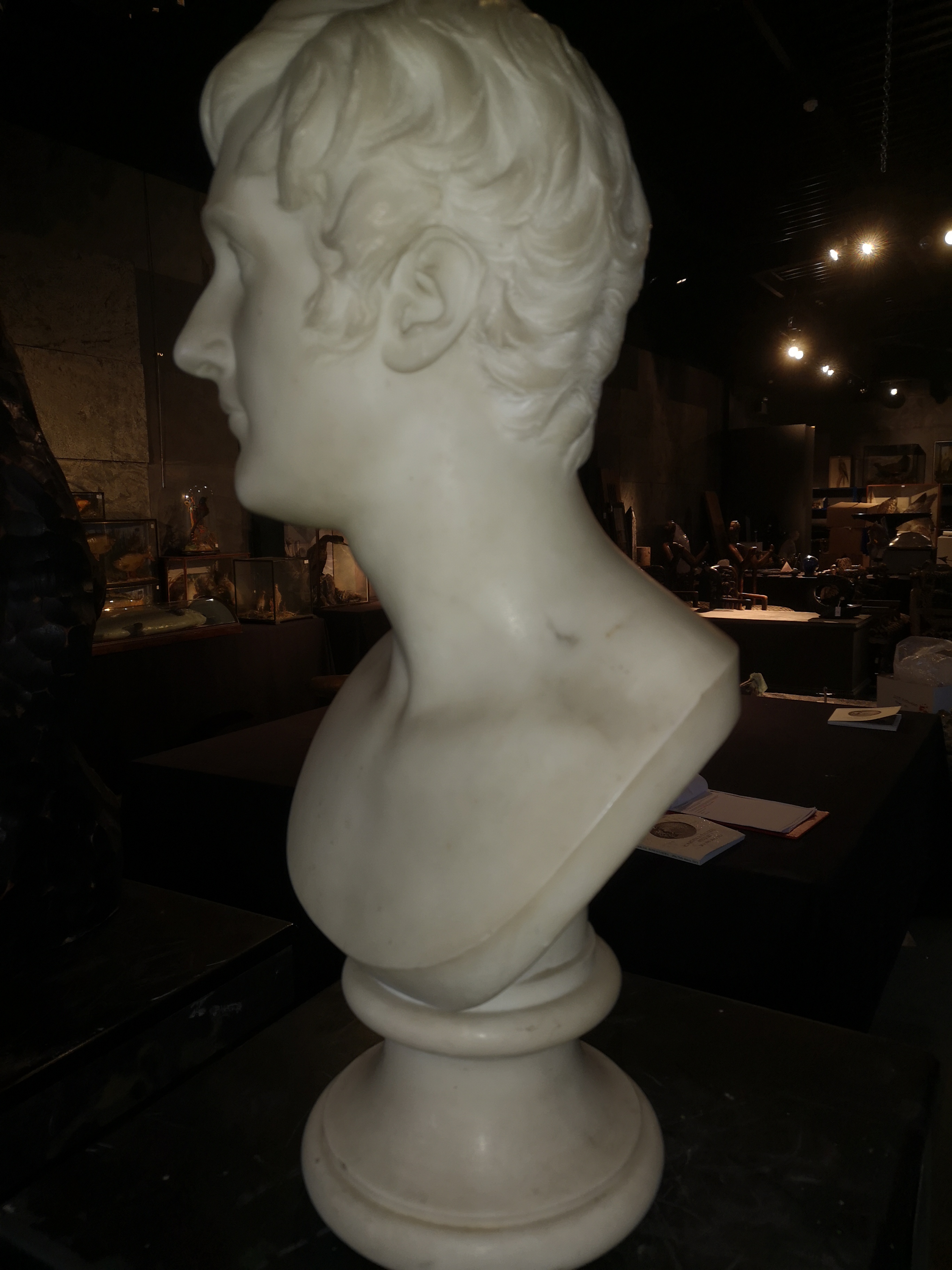 Joseph Edgar Boehm: A carved marble bust of Lieut Col Hon Augustus Frederick Ellis - Image 2 of 6