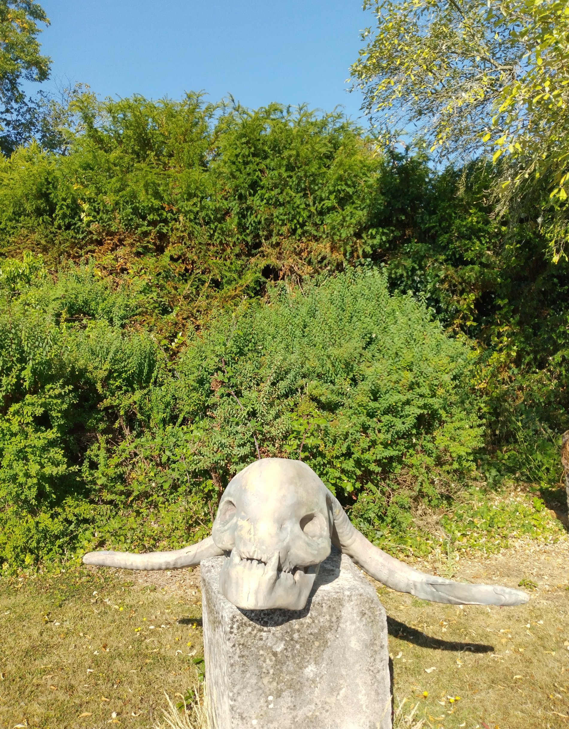 A polyurethane resin troll skull - Image 2 of 2