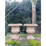 A pair of terracotta urns